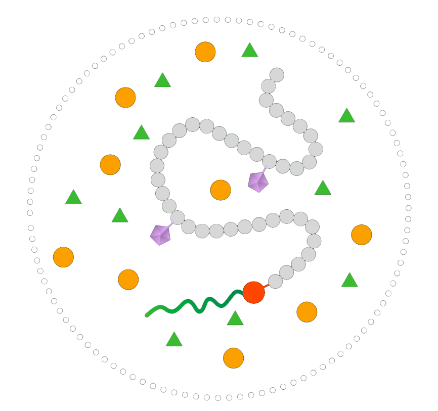 Diagram explaining the MOMENTUM platform with elements like enteric coating, biotins, permeation enhancers, and stability enhancers for oral NuSH therapies.